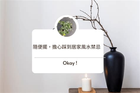 盆栽數量風水|風水與盆栽：打造家居好運的秘密